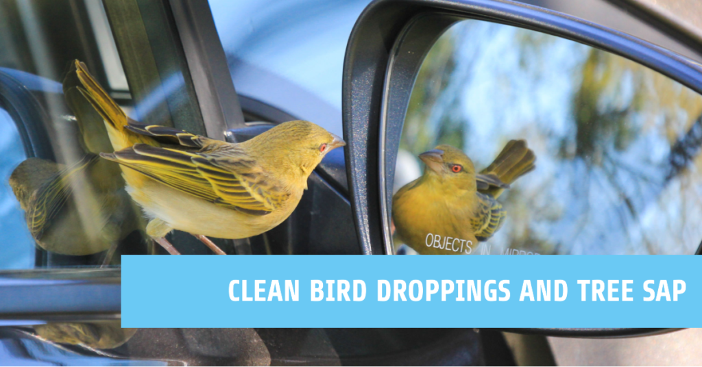 How to clean bird droppings and tree sap from a car
